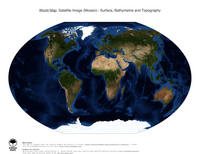 #7 Map World: Surface, Bathymetrie and Topography